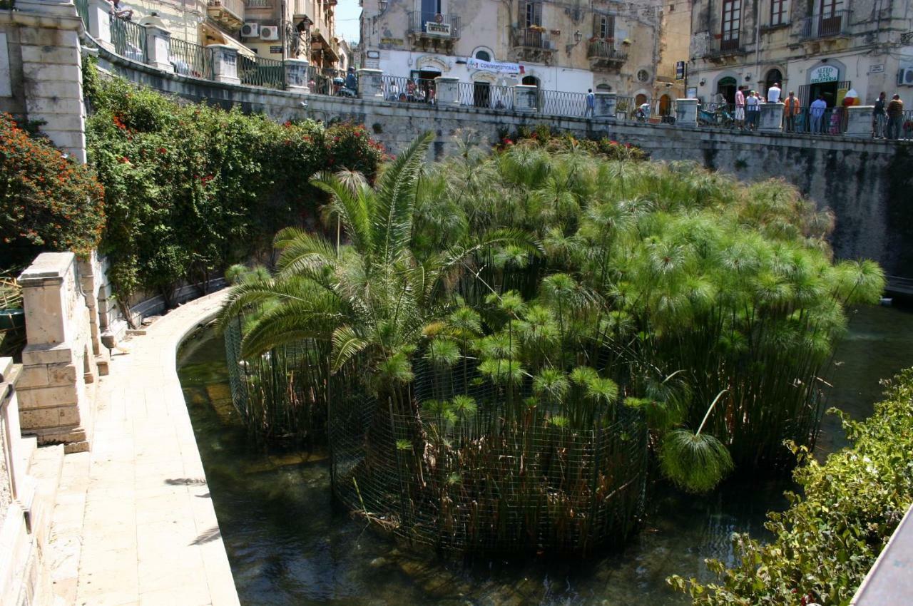 Sole D'ortigia *